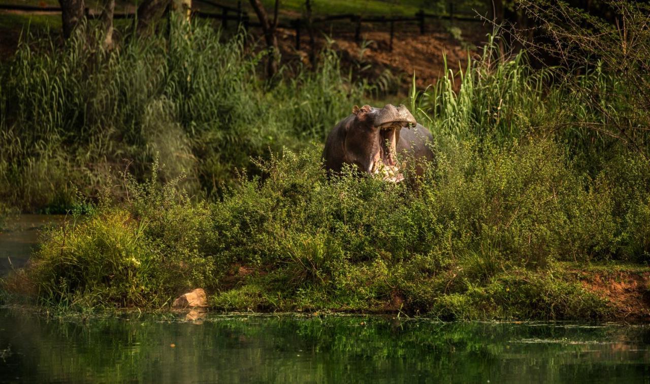 Sabi River Sun Resort Хейзивью Экстерьер фото