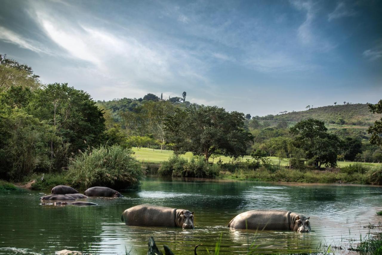Sabi River Sun Resort Хейзивью Экстерьер фото